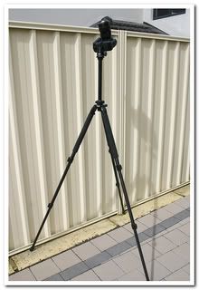 IMAGE: http://i81.photobucket.com/albums/j226/lannes2007/IMG_8950.jpg