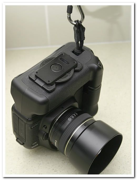 IMAGE: http://i81.photobucket.com/albums/j226/lannes2007/IMG_8987.jpg