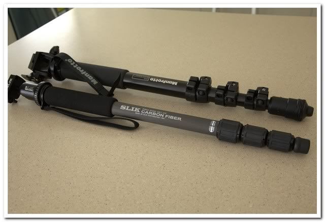 IMAGE: http://i81.photobucket.com/albums/j226/lannes2007/IMG_9280.jpg