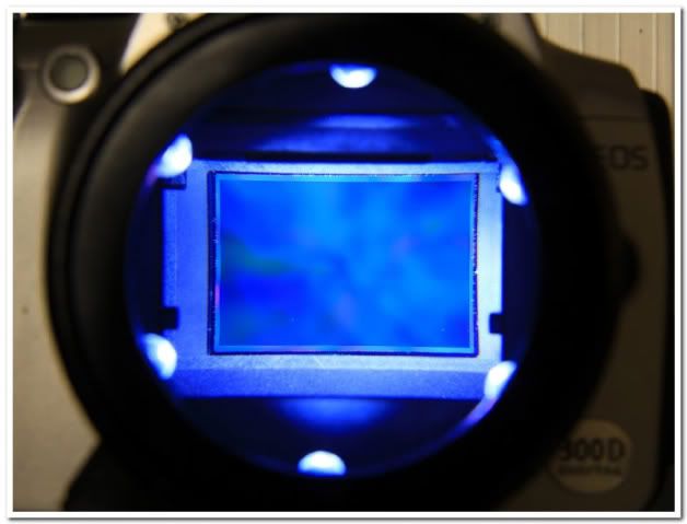 IMAGE: http://i81.photobucket.com/albums/j226/lannes2007/IMG_9384-1.jpg