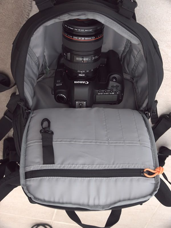 IMAGE: http://i81.photobucket.com/albums/j226/lannes2007/_1030697.jpg