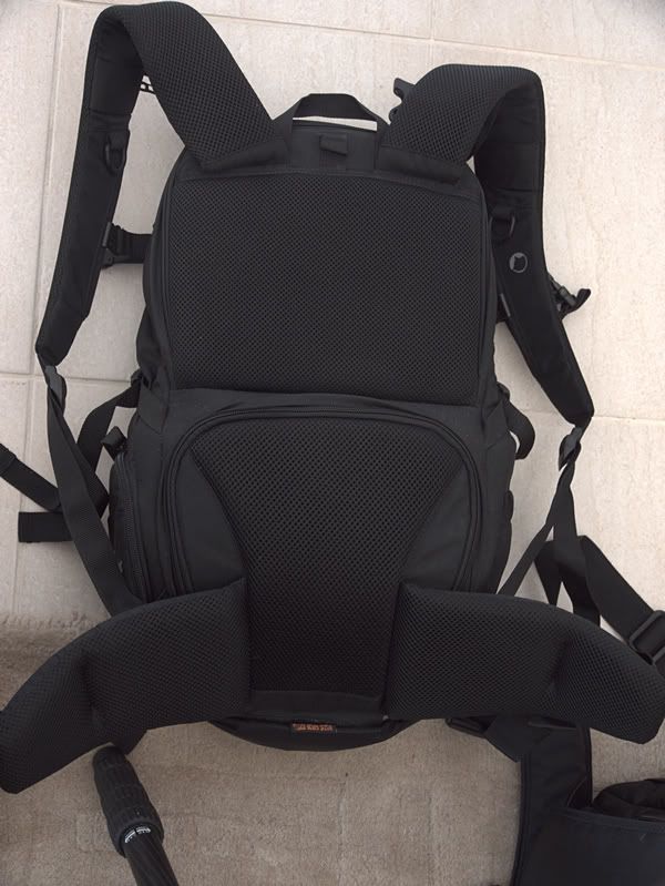 IMAGE: http://i81.photobucket.com/albums/j226/lannes2007/_1030699.jpg