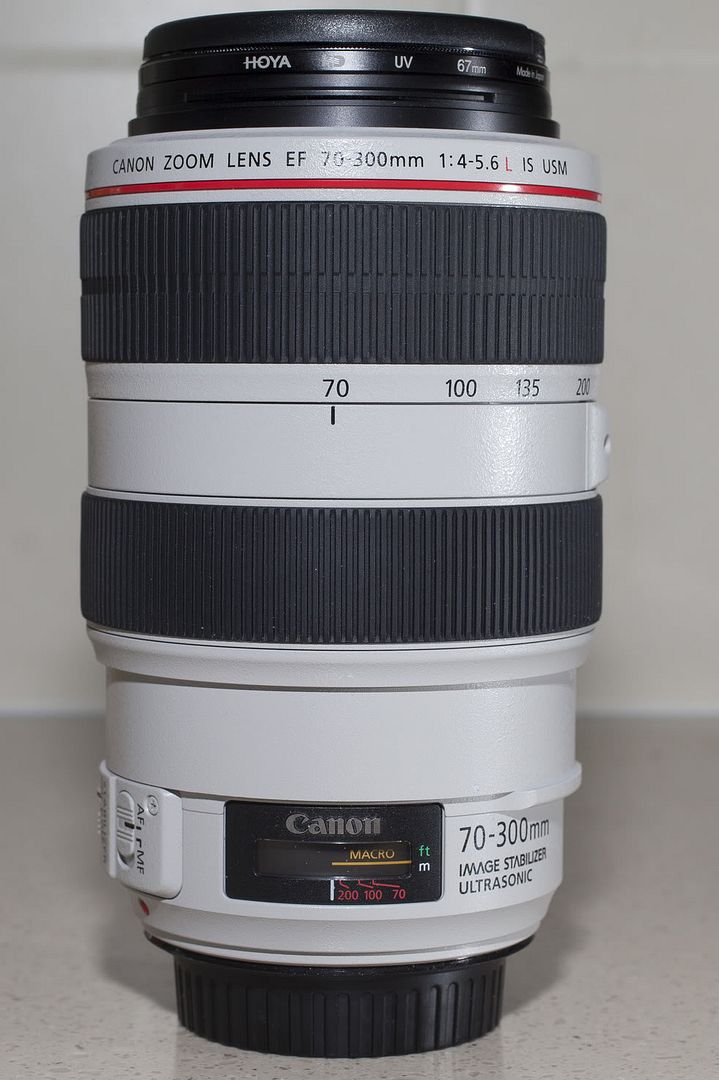 IMAGE: http://i81.photobucket.com/albums/j226/lannes2007/_MG_9241.jpg