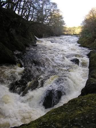 river.jpg