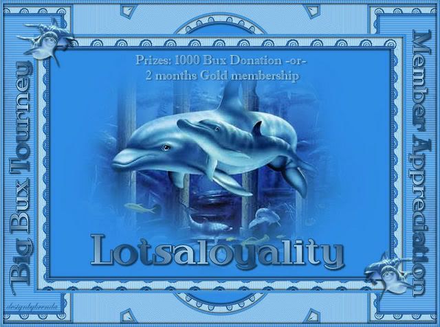 Lotsoloyality main graphic
