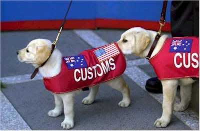 customs.jpg