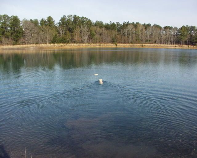 P1270484.jpg