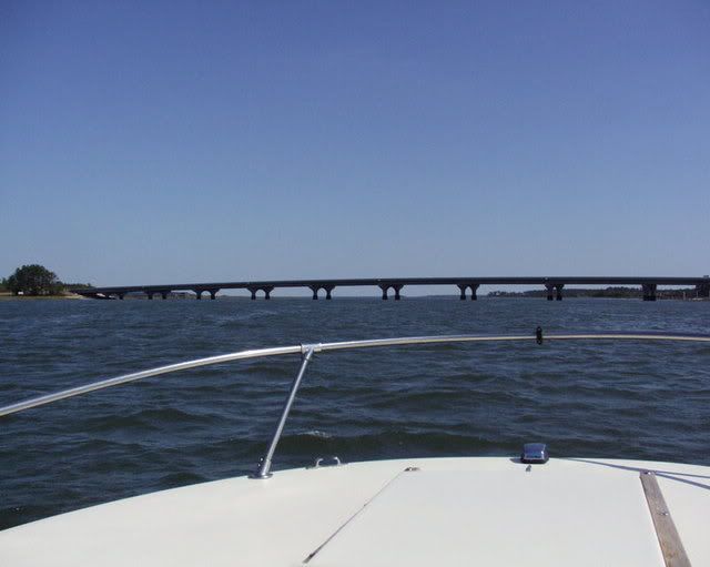 P4290870.jpg