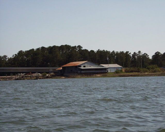 P4290871.jpg