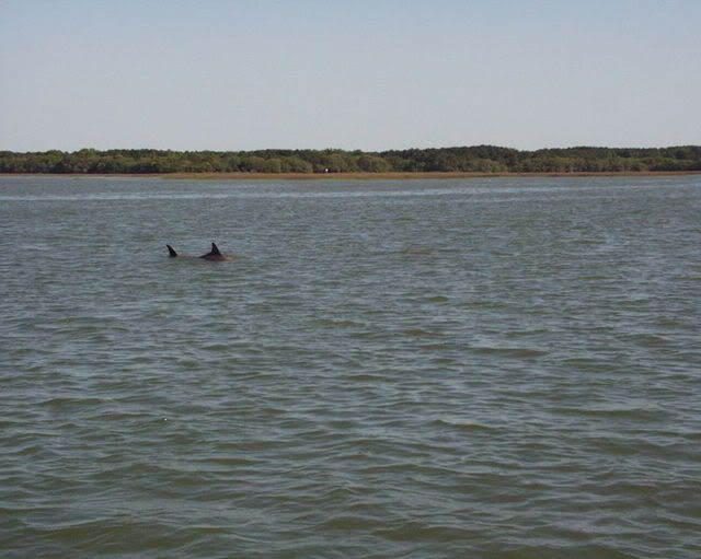 P4290872.jpg