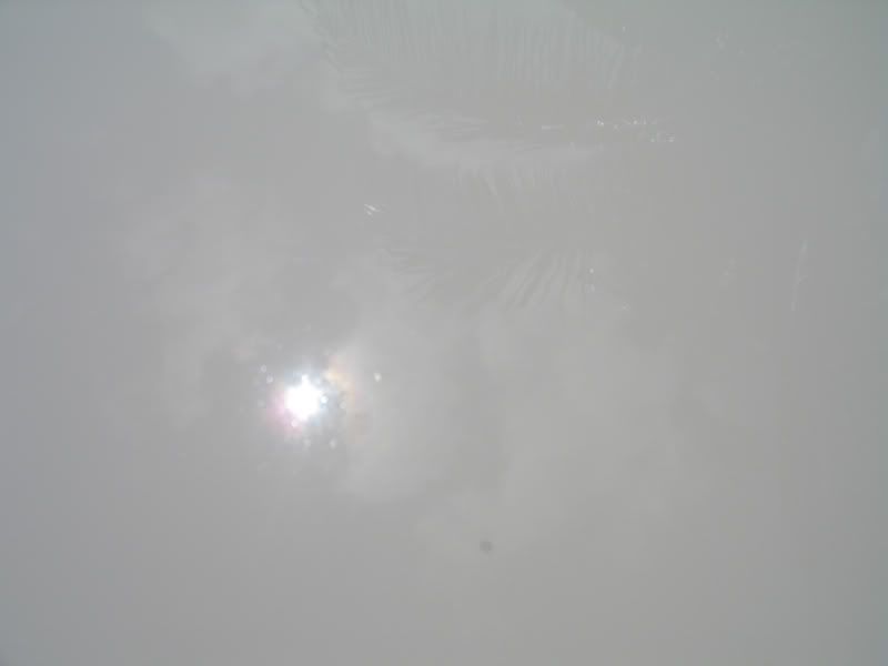 IMG_4866.jpg