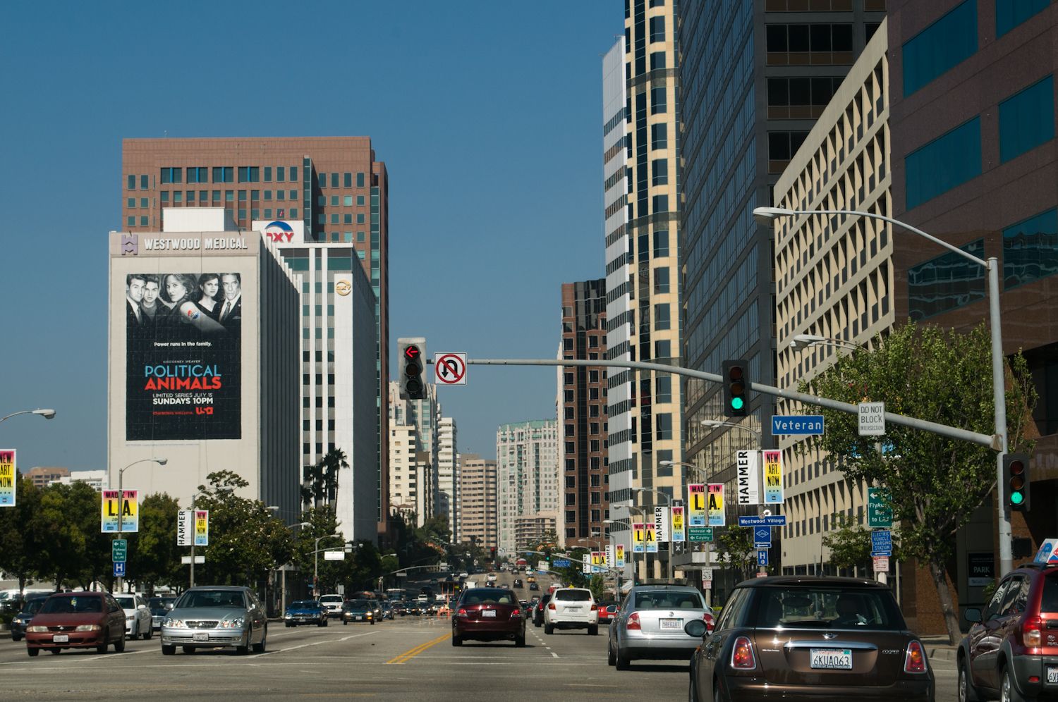 losangeles-100-1-6.jpg
