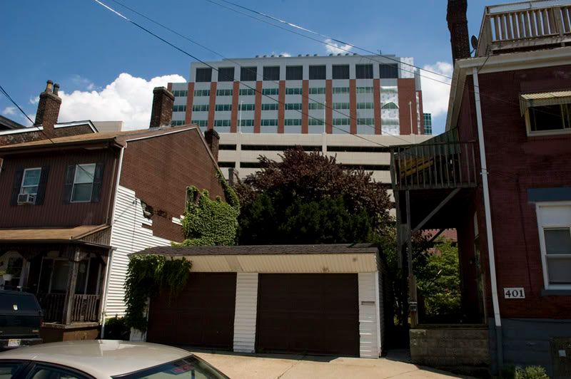pitt-13.jpg