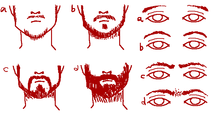 Beard Patterns