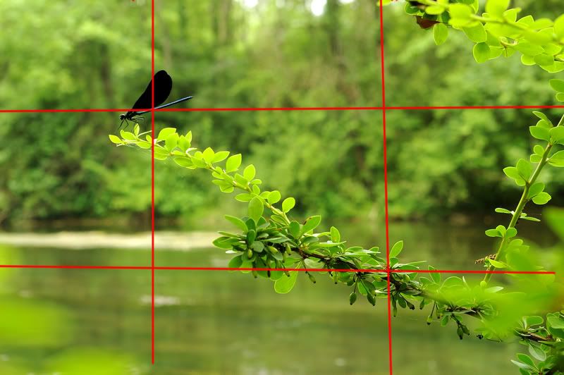 ruleofthirds.jpg