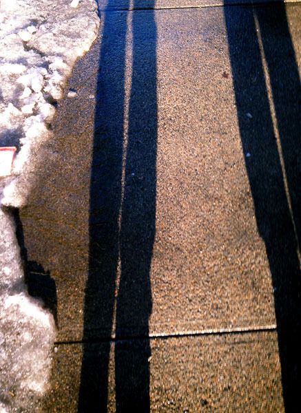 winter shadows