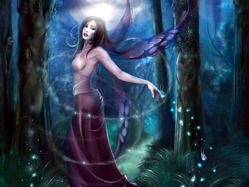 Fairy Forest Pictures, Images and Photos