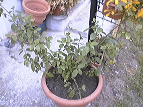 P04-14-06_17.jpg