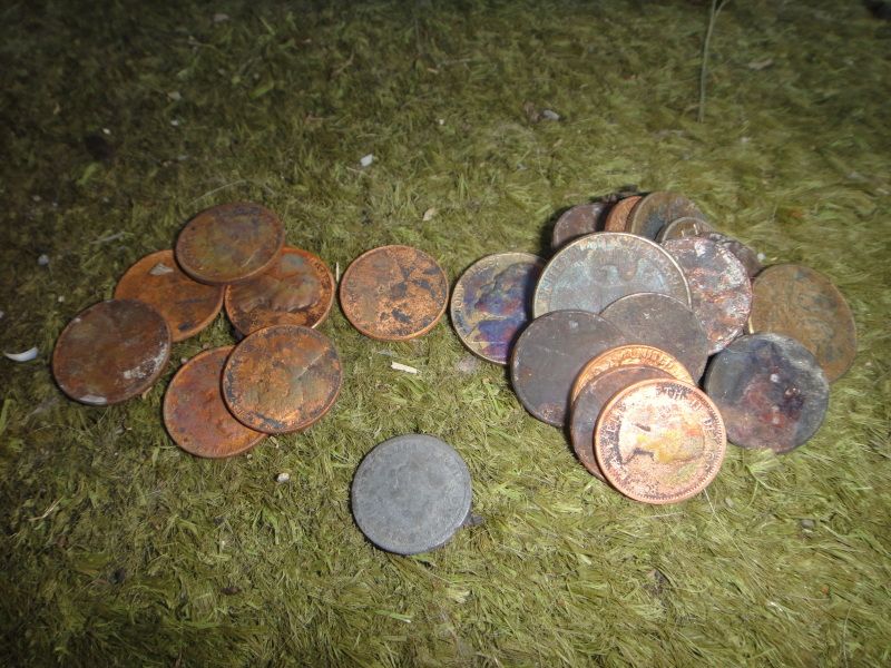 coins-1.jpg