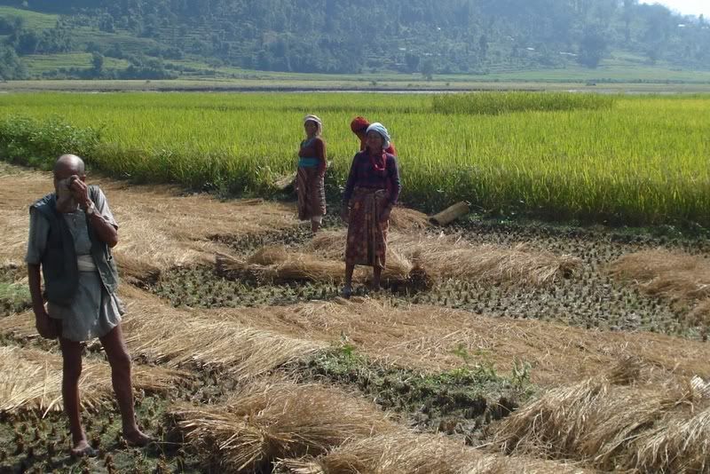 A Maoist Agricultural Center In Nepal | United We Blog! For A ...