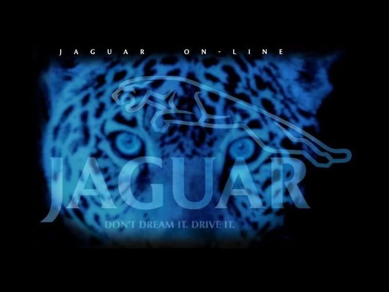 jaguar Pictures, Images and Photos