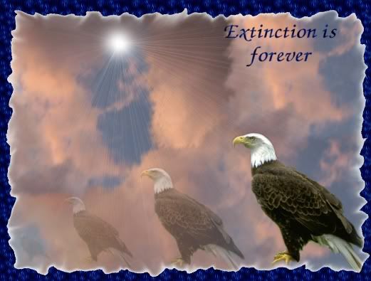 extincton extincton