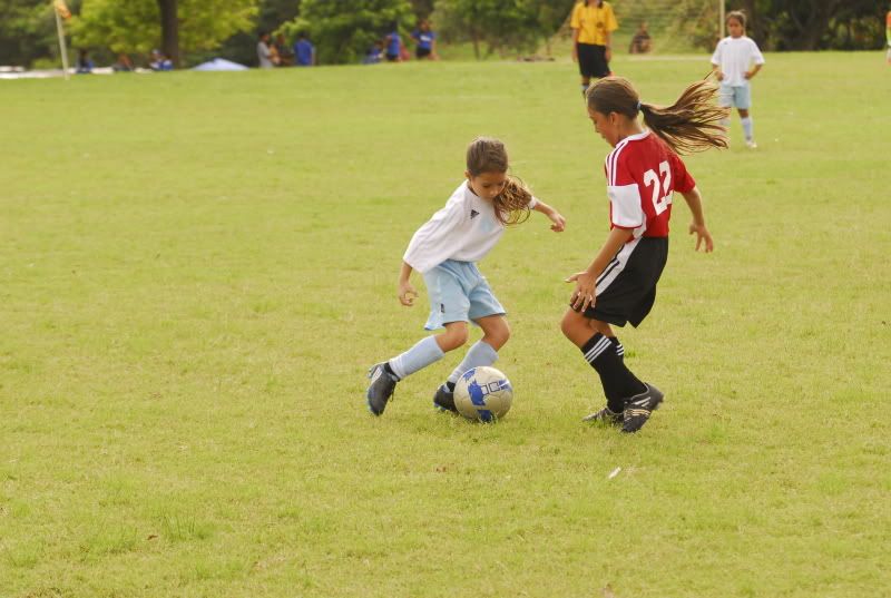 IMAGE: http://i81.photobucket.com/albums/j239/cdrumeller/_DSC8978.jpg