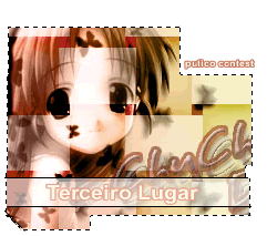 nhá a primeira colocação da vida do blog! *-*