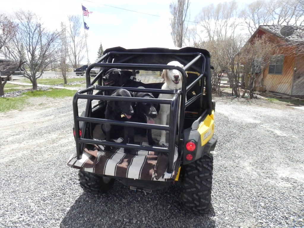 Can Am dog Cage extension CanAm Commander Forum