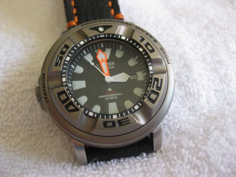 ecozilla titanium