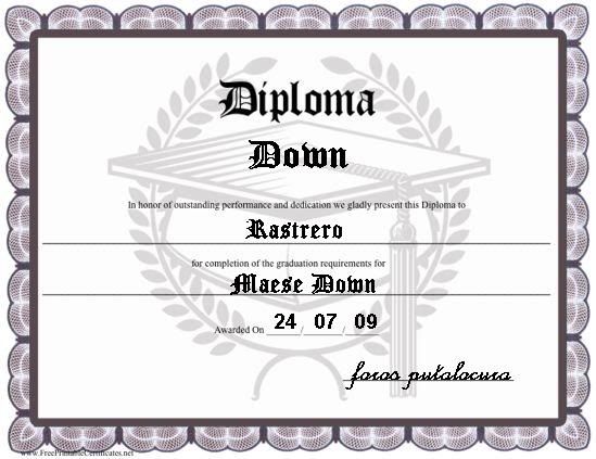 diploma.jpg