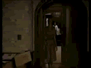 prueba-1.gif