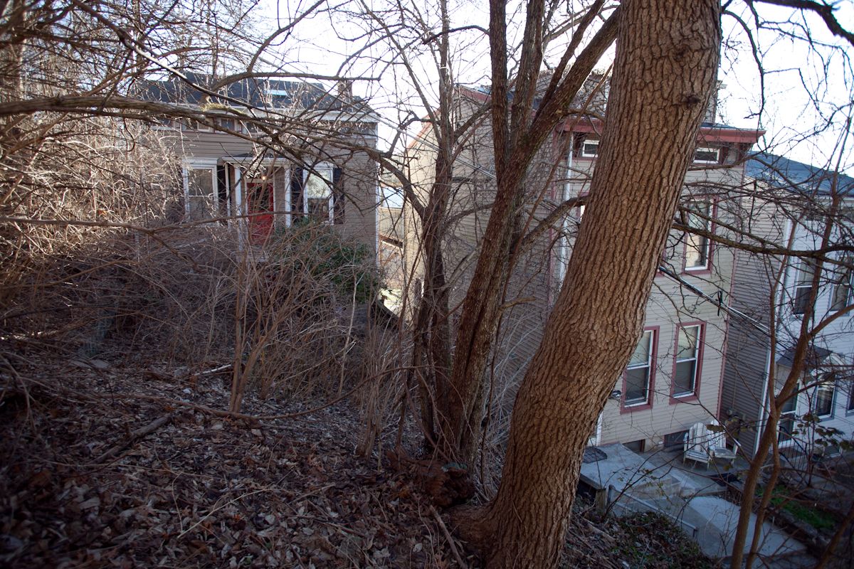 cincinnati-3339_zpstrtjlkha.jpg