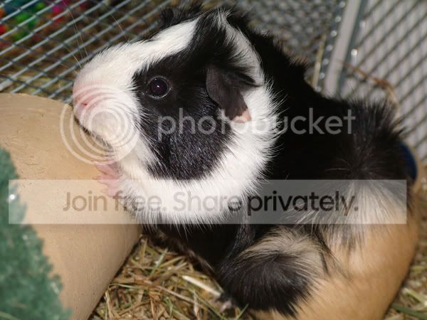 albie21710.jpg