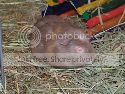 quincey-1.jpg