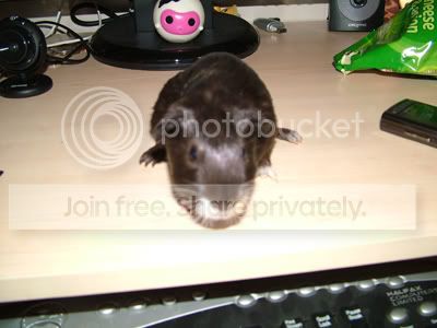 shadow.jpg